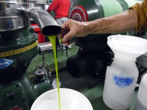 L'olio del frantoio "La Romita" ha un colore molto simile a quello originale delle olive
