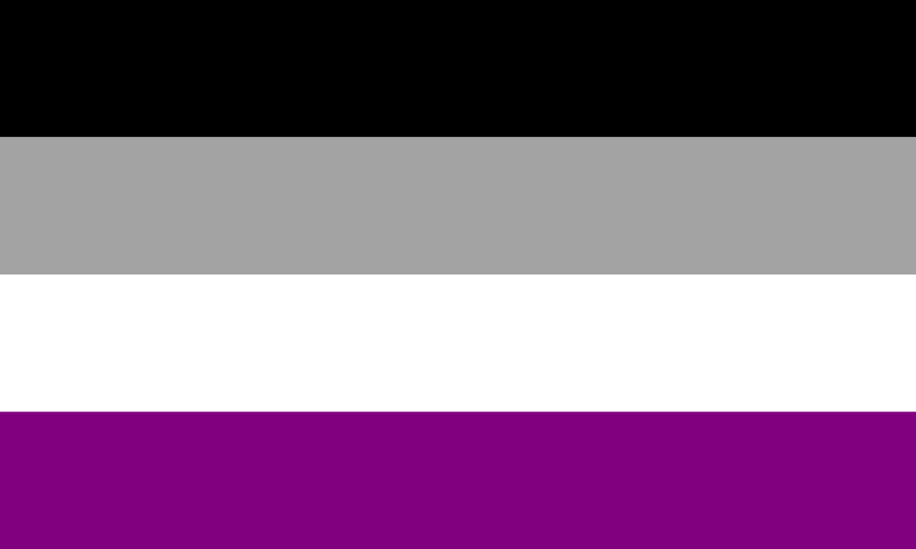 La bandiera dell'orgoglio asessuale, composta da quattro strisce orizzontali. Dall'alto verso il basso: nera, grigia, bianca, viola.