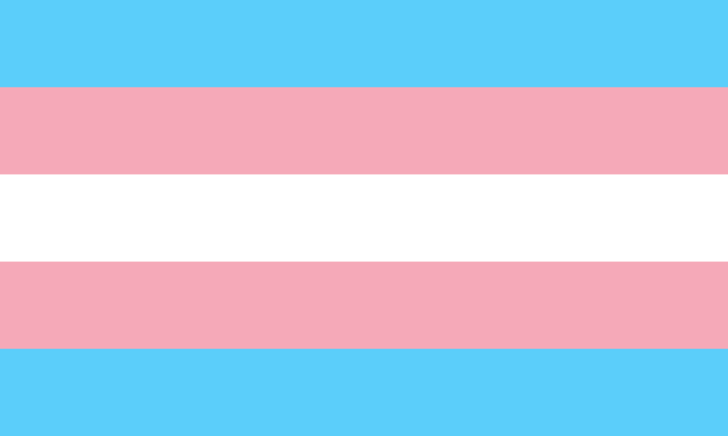 La bandiera dell'orgoglio trans* composta da cinque strisce orizzontali, delle quali quella al centro è più sottile delle altre. I colori, dall'alto verso il basso sono azzurro, rosa, bianco, rosa, azzurro.