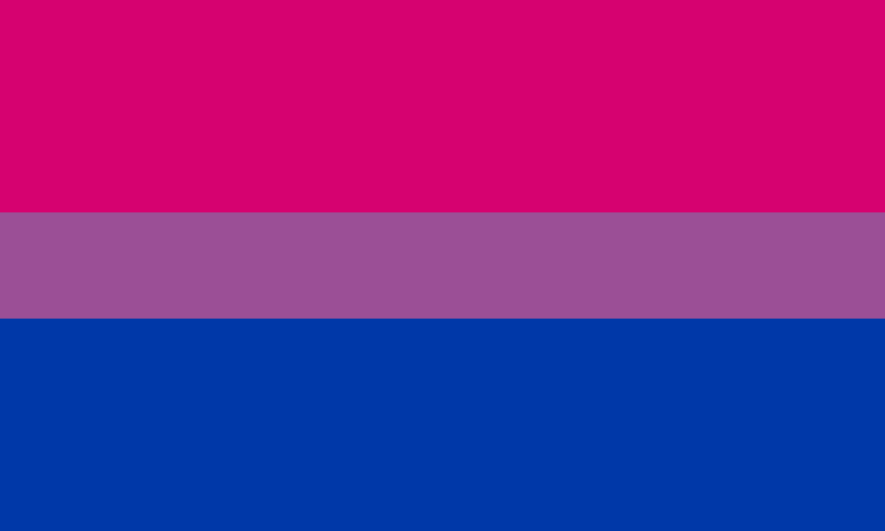 La bandiera dell'orgoglio bisessuale con tre strisce orizzontali, delle quali quella al centro è più sottile. I colori dall'alto verso il basso sono fucsia, viola, blu.