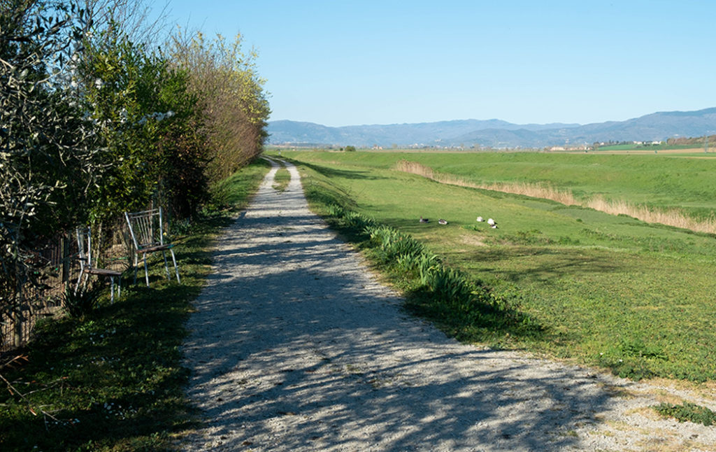 sentiero della bonifica foiano