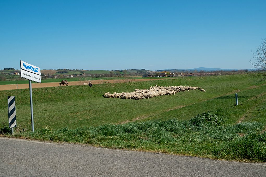 sentiero della bonifica foiano