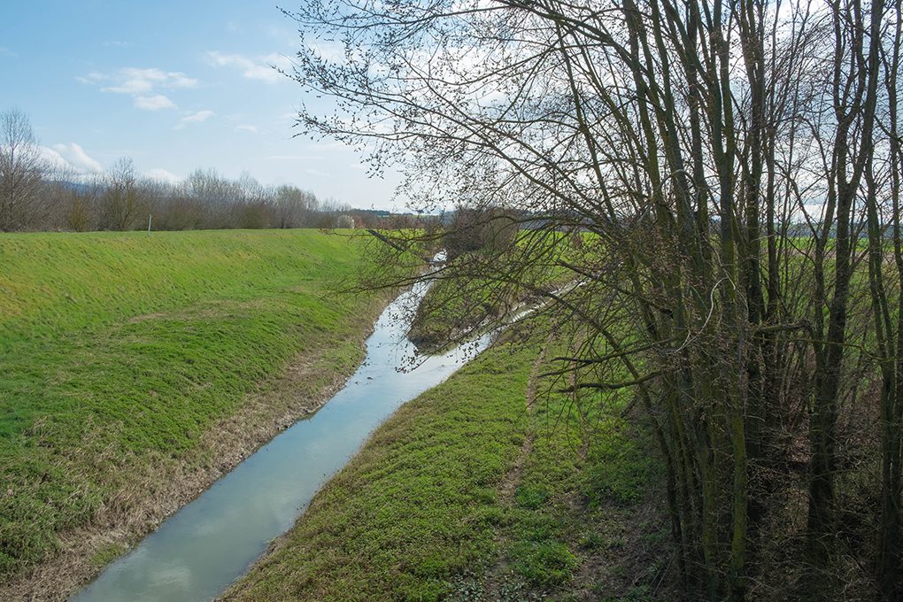 sentiero della bonifica cesa