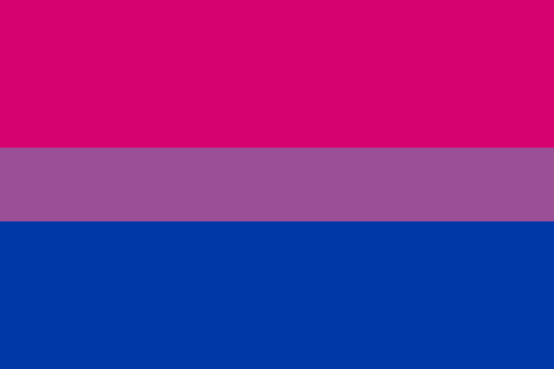 La bandiera dell'orgoglio bisessuale: tre strisce orizzontali sovrapposte, dall'alto in basso fucsia, viola, blu.