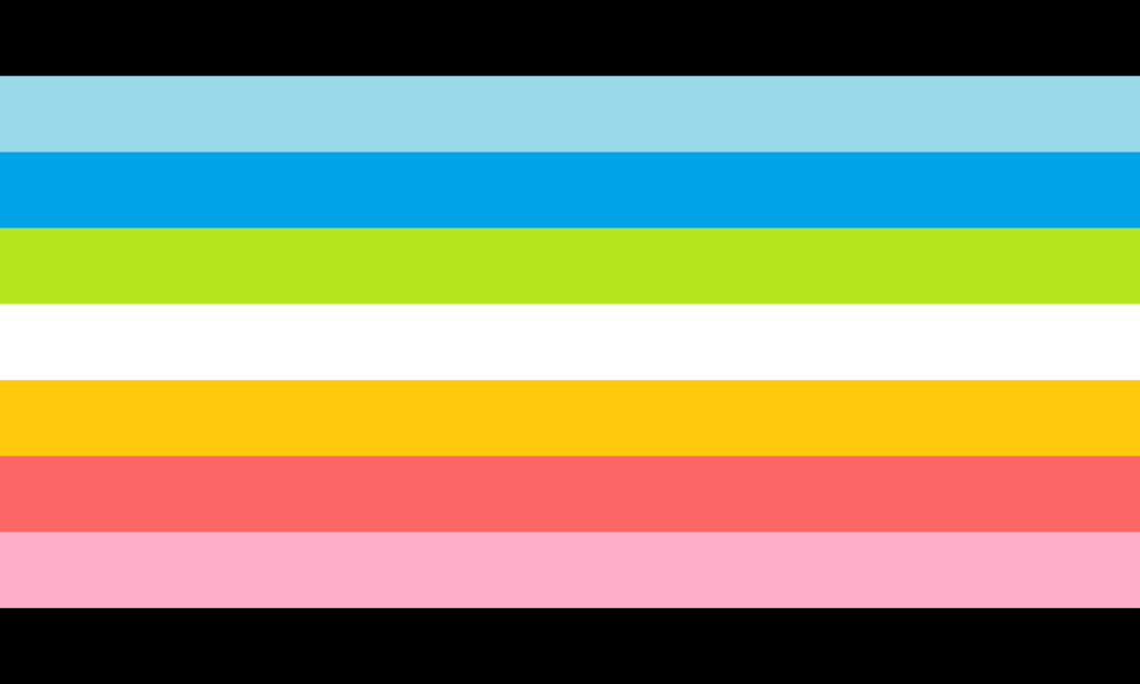 Una delle bandiere esistenti per l'orgoglio queer, nove strisce orizzontali dei seguenti colori: nero, celeste chiaro, celeste, verde, bianco, giallo, rosa, rosa chiaro, nero.