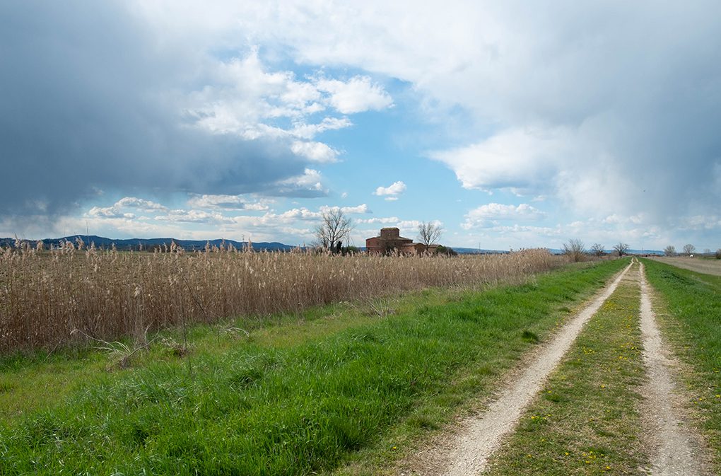 consigli di viaggio