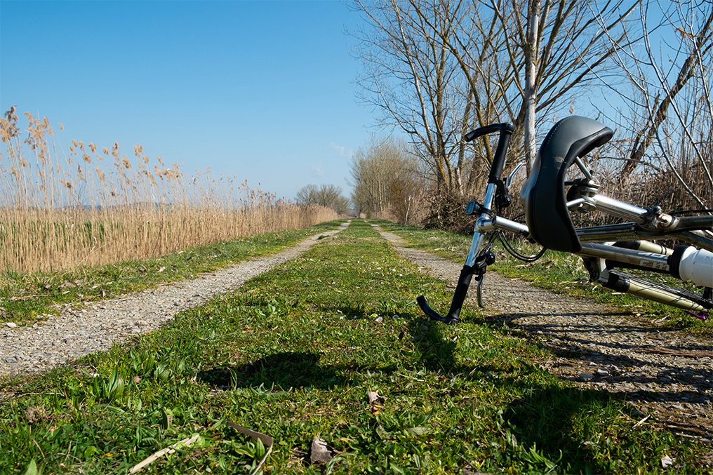 consigli di viaggio