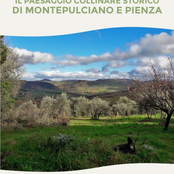 Il paesaggio collinare storico di Montepulciano e Pienza