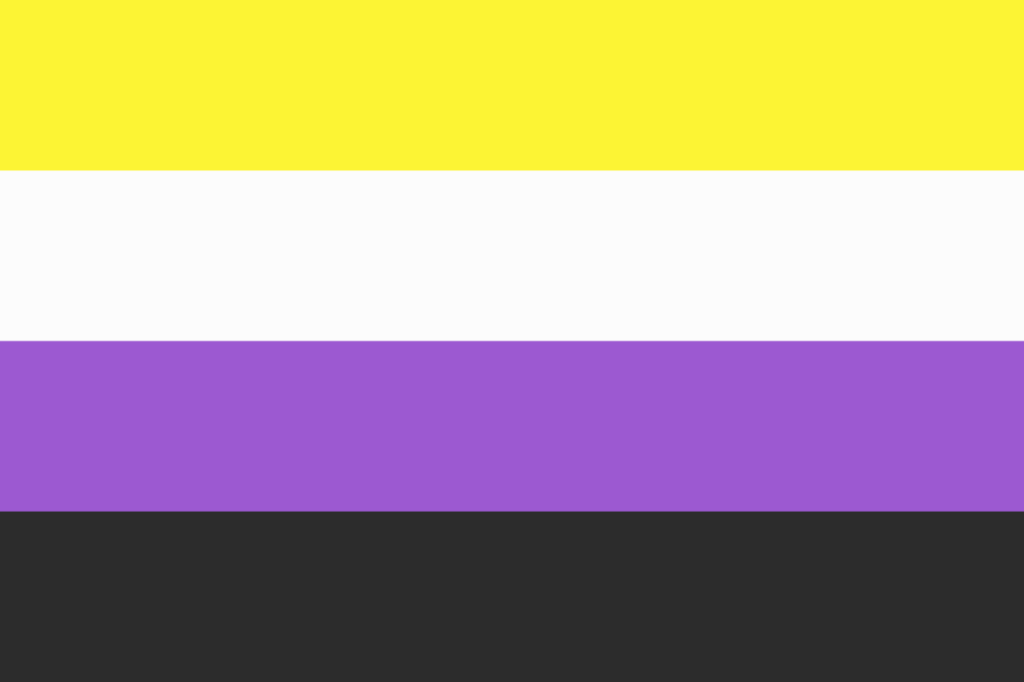 La bandiera delle persone non binarie: quattro strisce orizzontali sovrapposte. Dall'alto verso il basso: giallo, bianco, viola, nero.