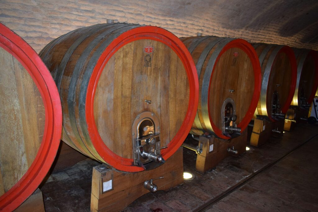 Olfatto odore del vino cantina